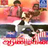 Ilaiyaraaja - Aanazhagan (Original Motion Picture Soundtrack)